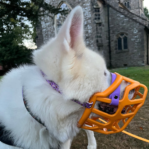 Halloween 2025 - Spookily Exclusive Muzzle