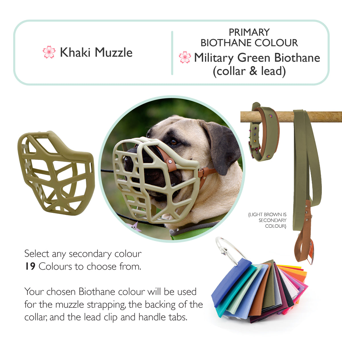 Mitzy* Muzzle Collar and Lead set