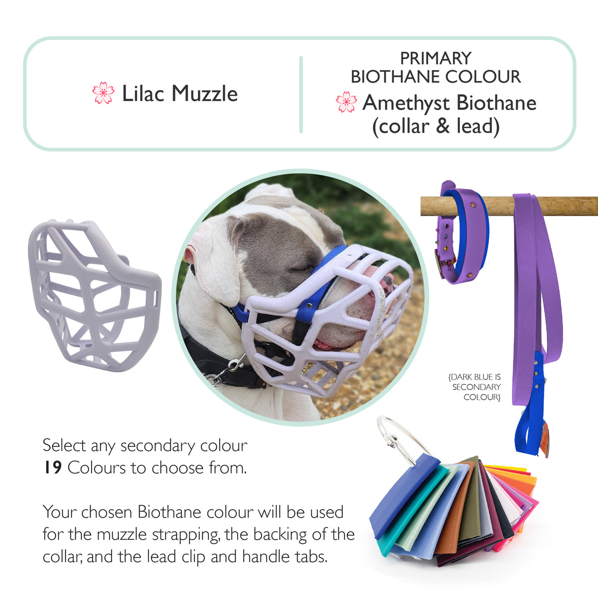 Mitzy Muzzle Collar and Lead set
