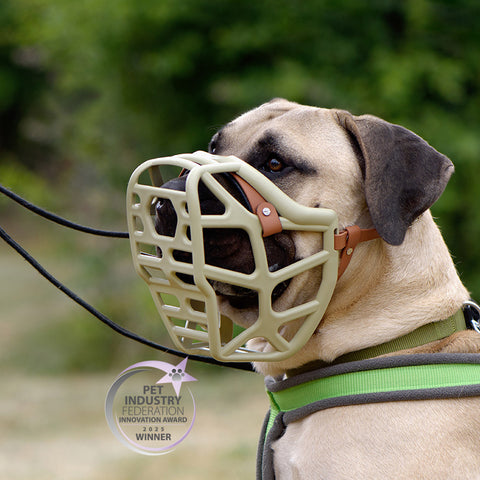 Size Mitzy Dog Muzzle - Made to order muzzle with colour customisation