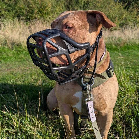 Mitzy Black Muzzle – Limited Edition Recycled - Ready to Ship