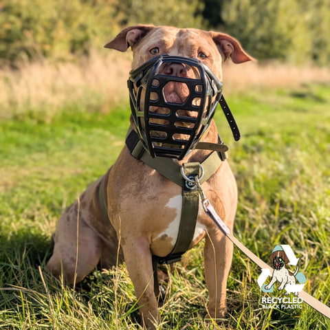 Mitzy Black Muzzle – Limited Edition Recycled - Ready to Ship