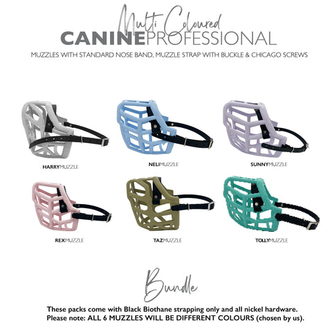 Canine professional Size Multi Coloured Bundle for Trade