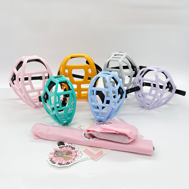 Canine Professional Size Multi Coloured Bundle