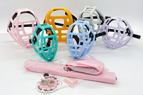 Canine Professional Size Bundle MULTI COLOURED BASKETS