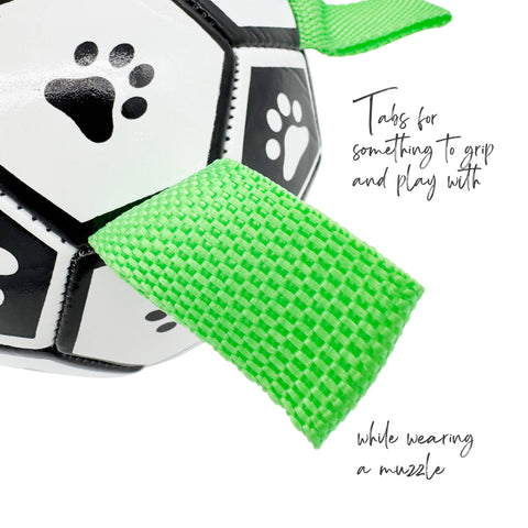 Muzzle Friendly Ball Toy