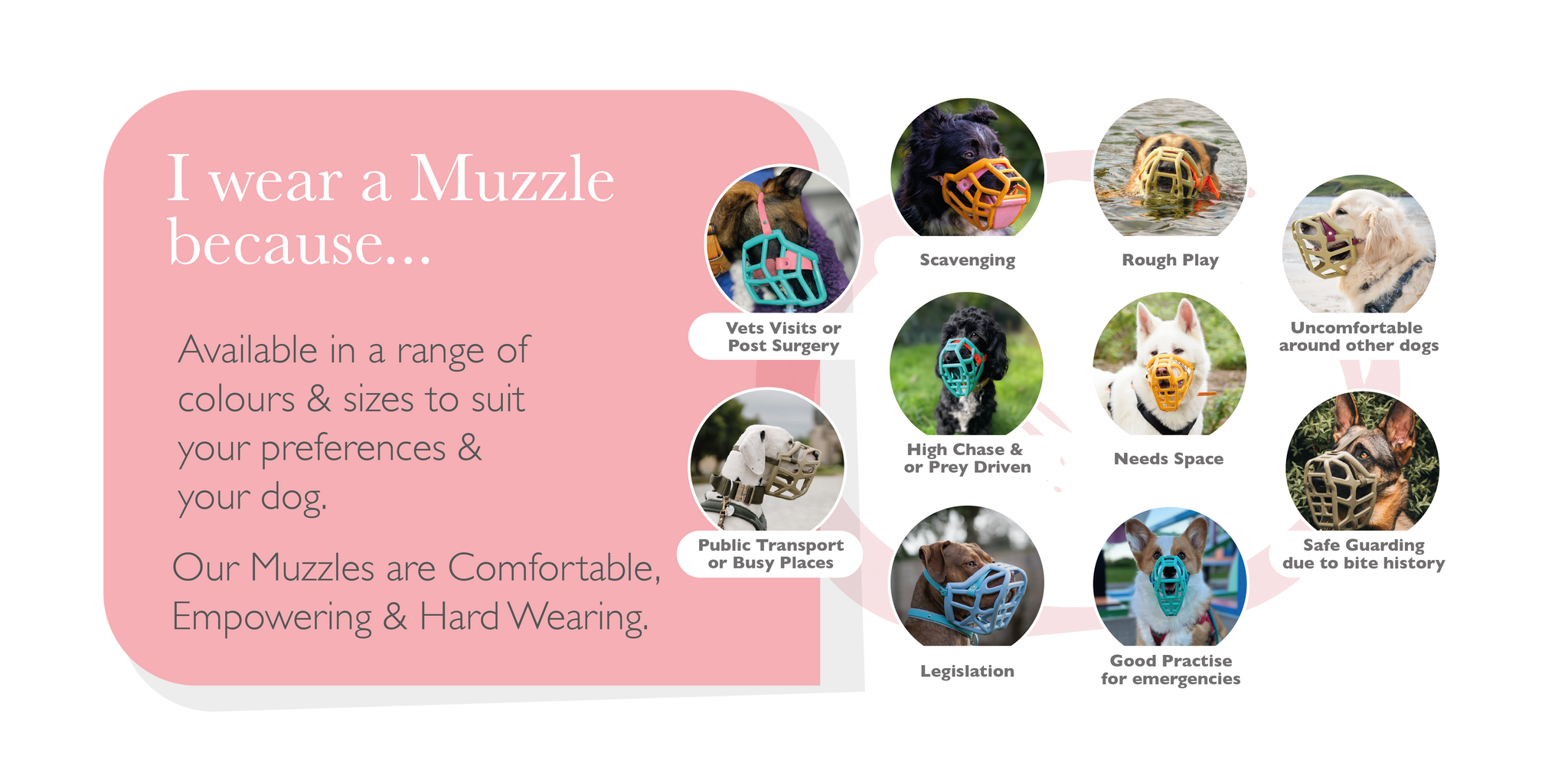 I wear a muzzle because — desktop version