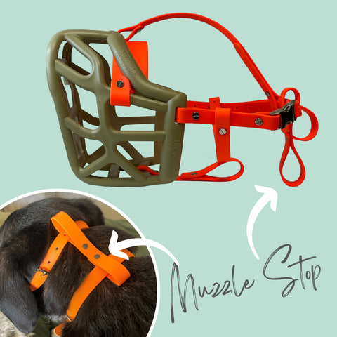 Muzzle stop and Chin loops bundle for Trade - Additional Safety Strapping for Muzzles