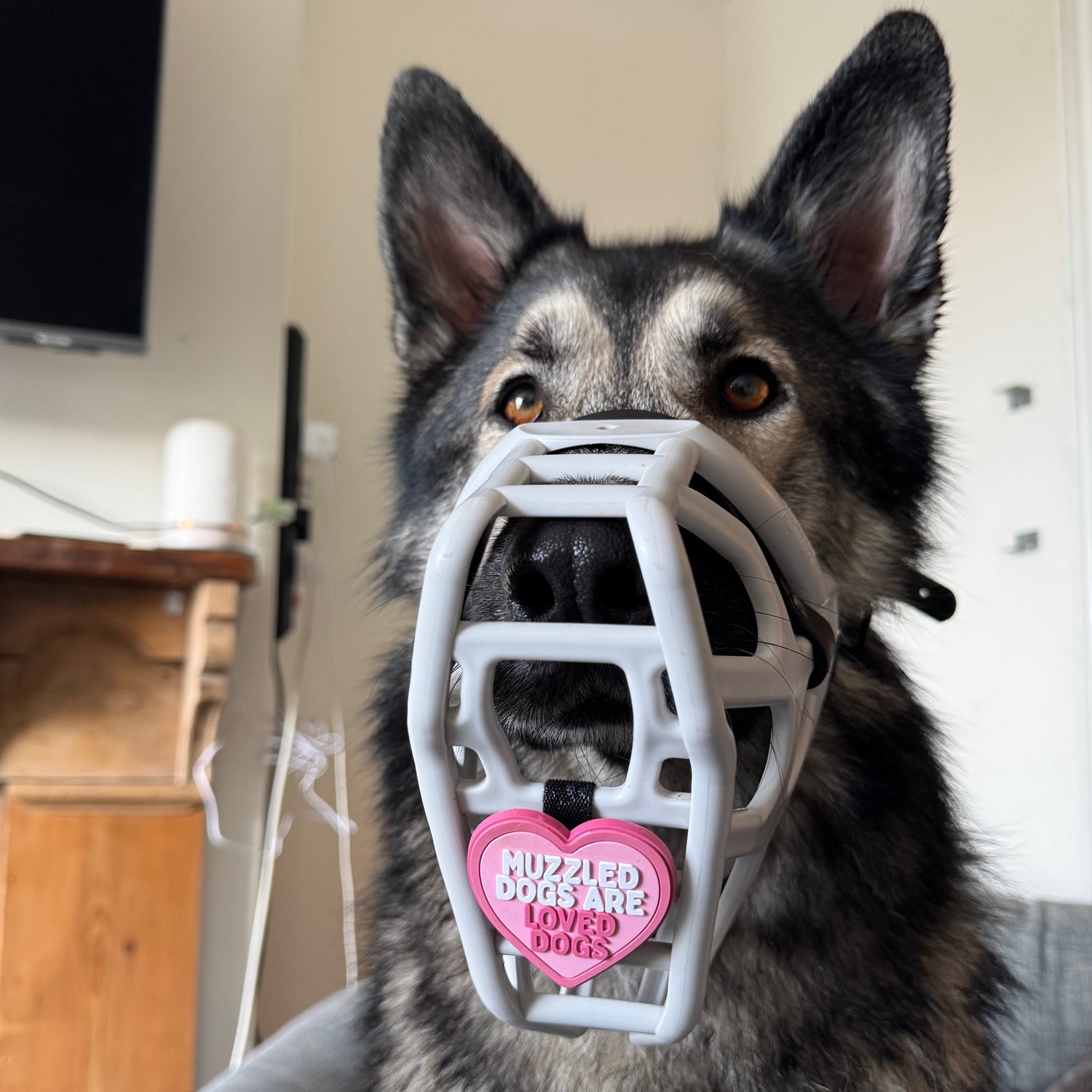 Snooties™ – Muzzled Dogs Are Loved Dogs Snootie Muzzle Charm