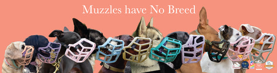 Muzzles have No Breed - a row of dogs of all breeds wearing muzzles