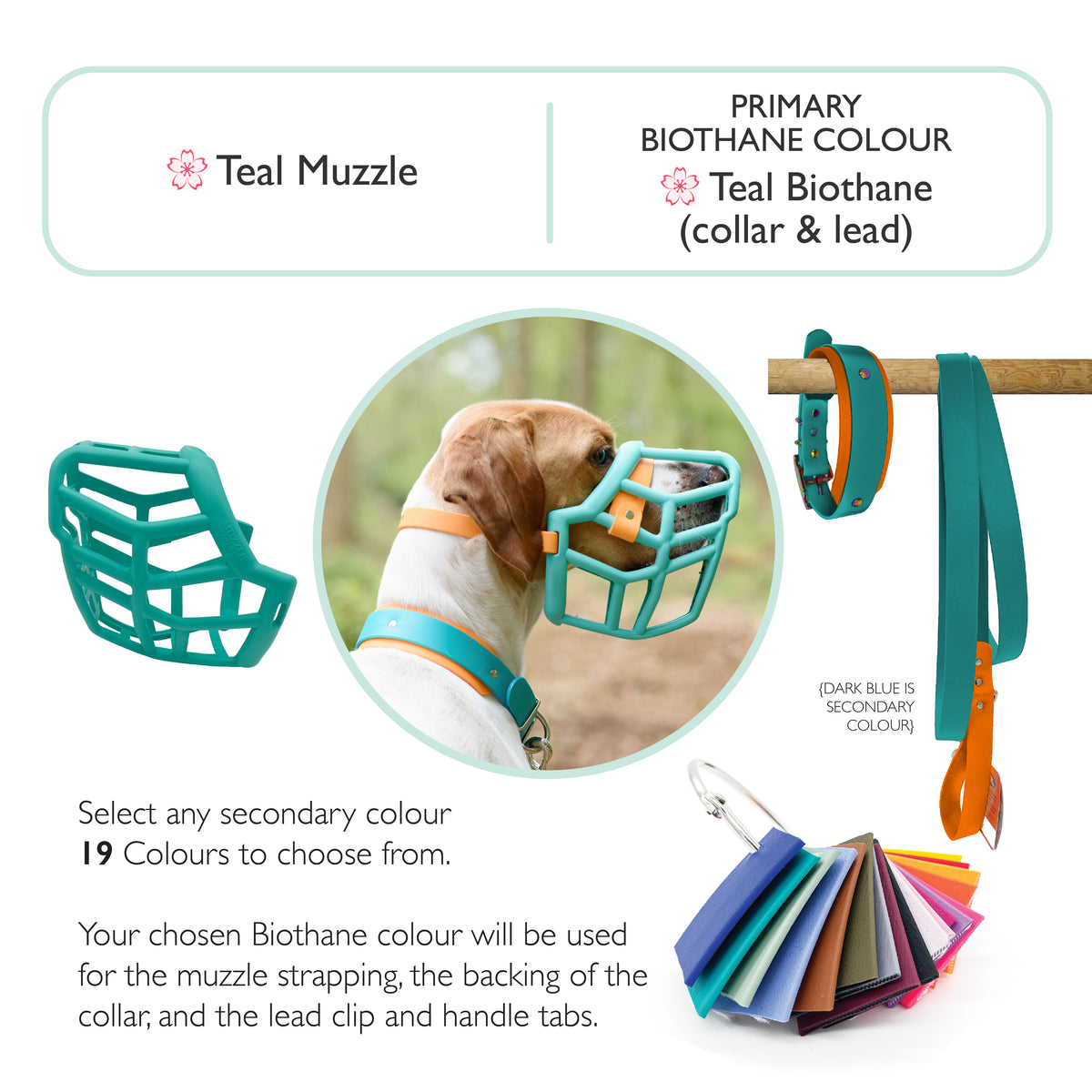 Neli* Dog Muzzle Collar and Lead set