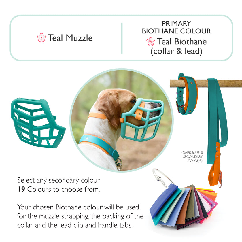 Neli* Dog Muzzle Collar and Lead set