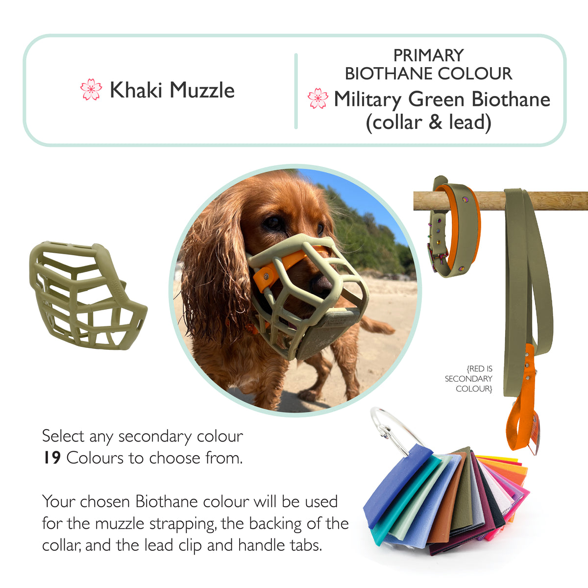 Neli Muzzle Collar and Lead set