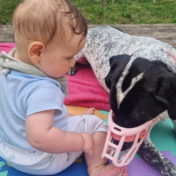 Baby sitting on a colorful mat with a dog wearing a pink muzzle outdoors.