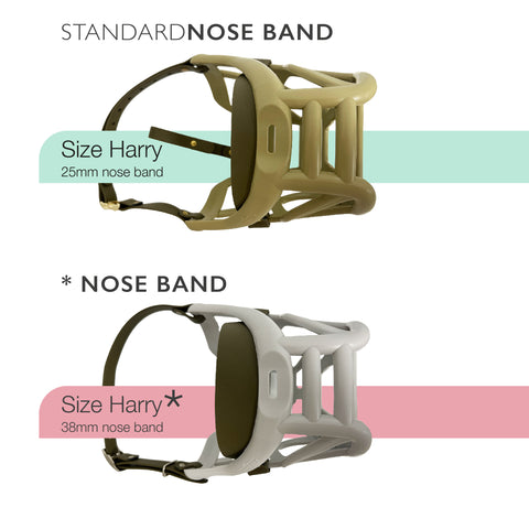 Alternative Nose Band