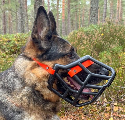 Sunny Black Muzzle – Limited Edition Recycled - Ready to Ship