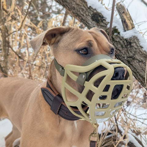 Taille Pippa Précommande - Muselière fabriquée sur commande avec personnalisation des couleurs - EXPÉDITION PRÉVUE À PARTIR DU 8 DÉCEMBRE 2025