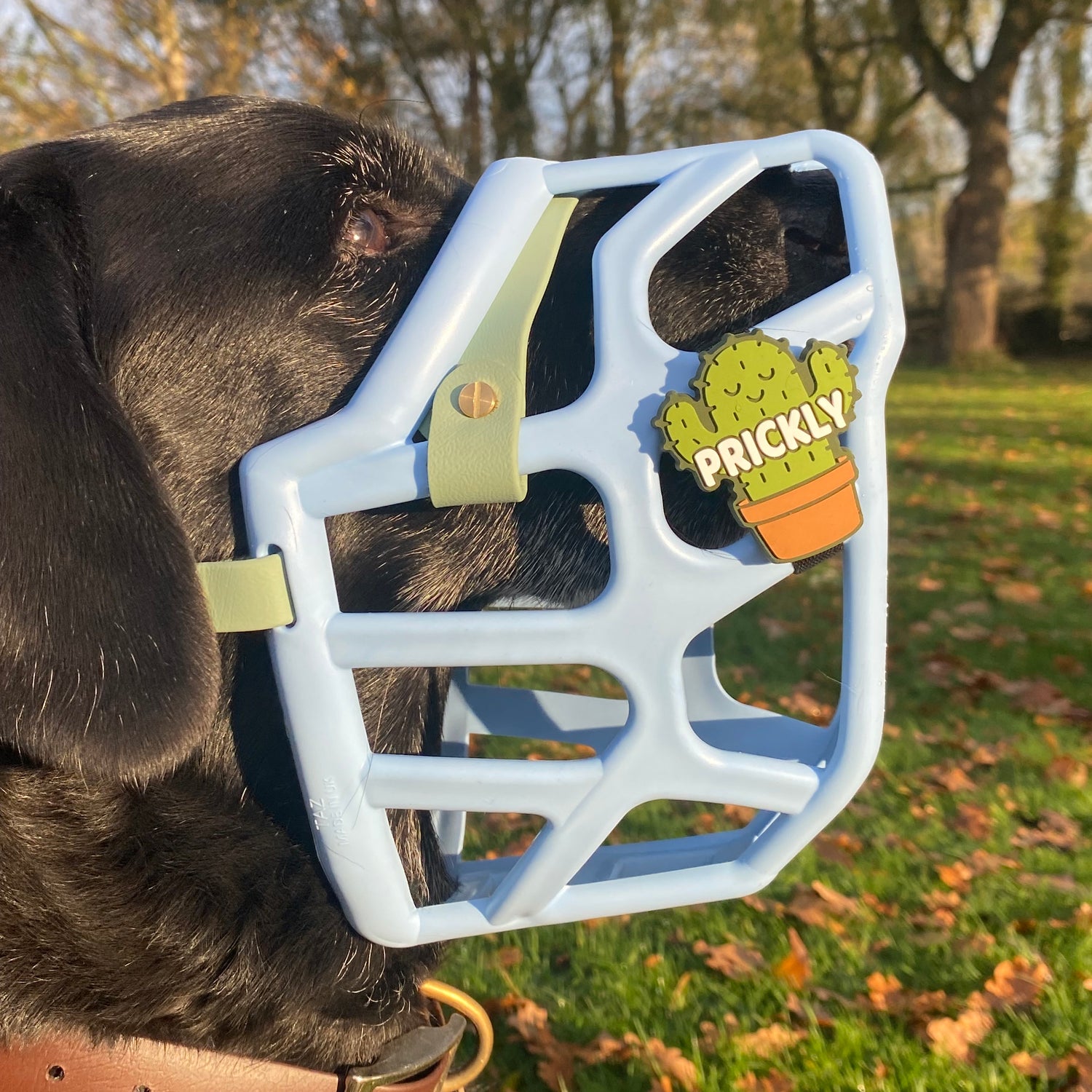 Snooties™ –   Prickly Snootie Muzzle Charm