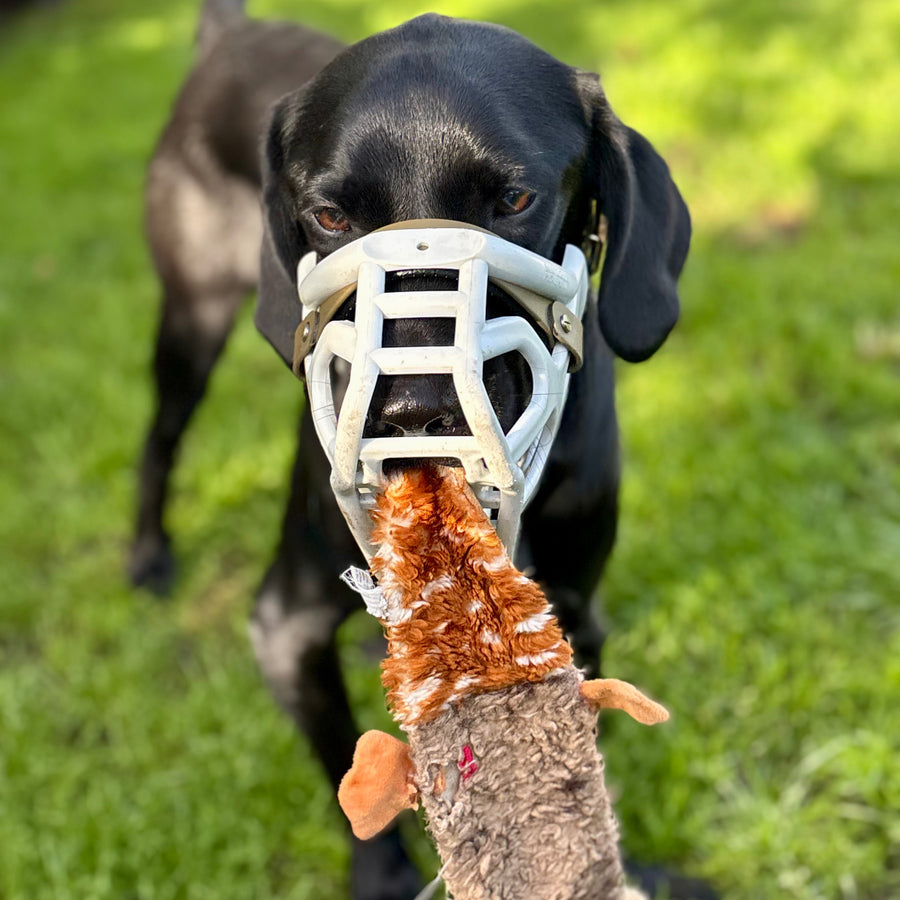Petface | Squeaky Pheasant – Plush Dog Toy
