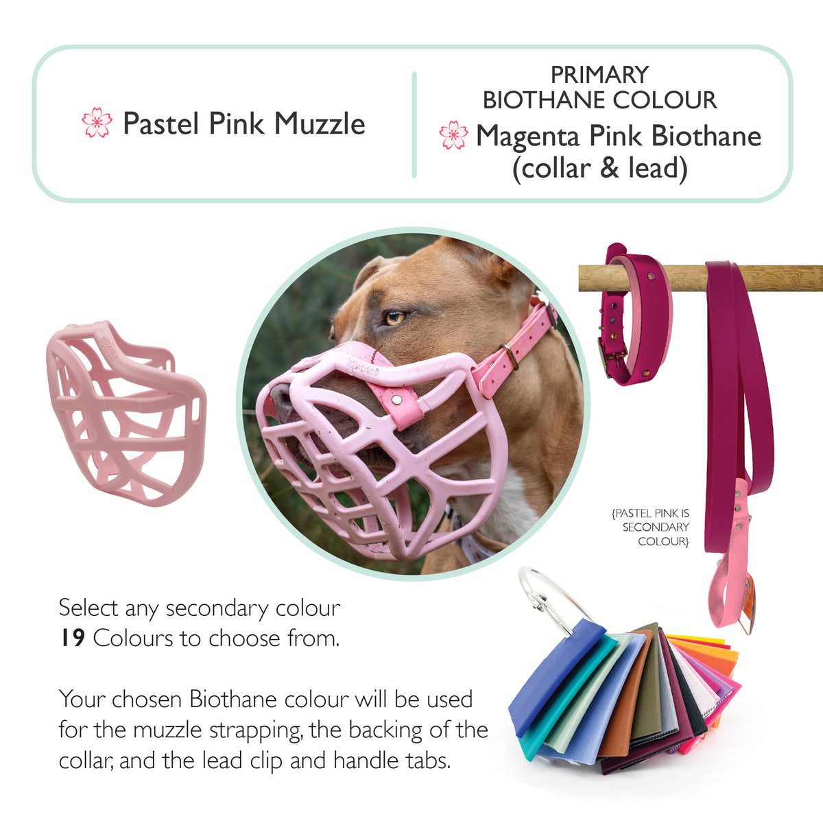 Pippa* Muzzle Collar and Lead set