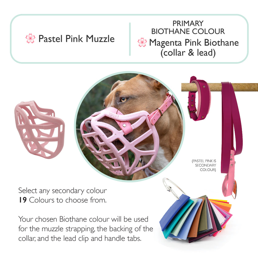Pippa* Muzzle Collar and Lead set