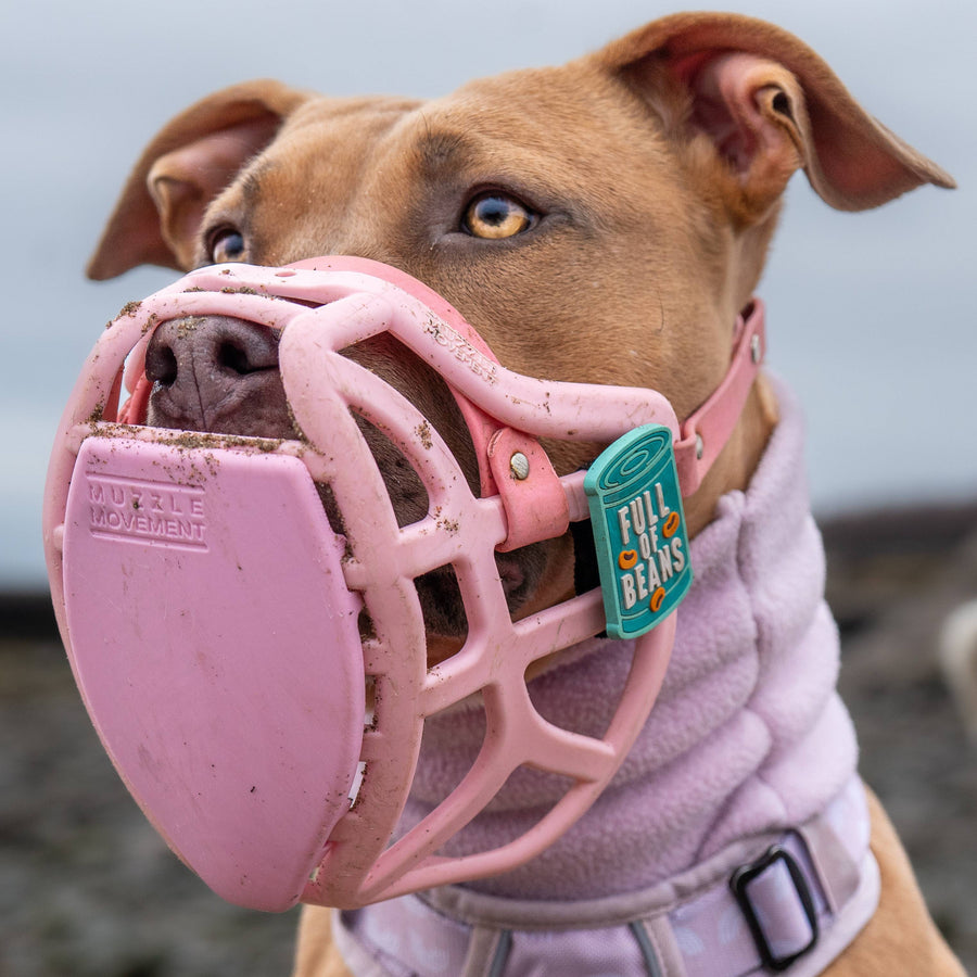 Pippa* Muzzle Collar and Lead set