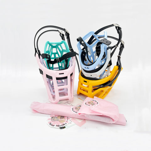 Canine Professional Size (Multi Coloured Baskets)