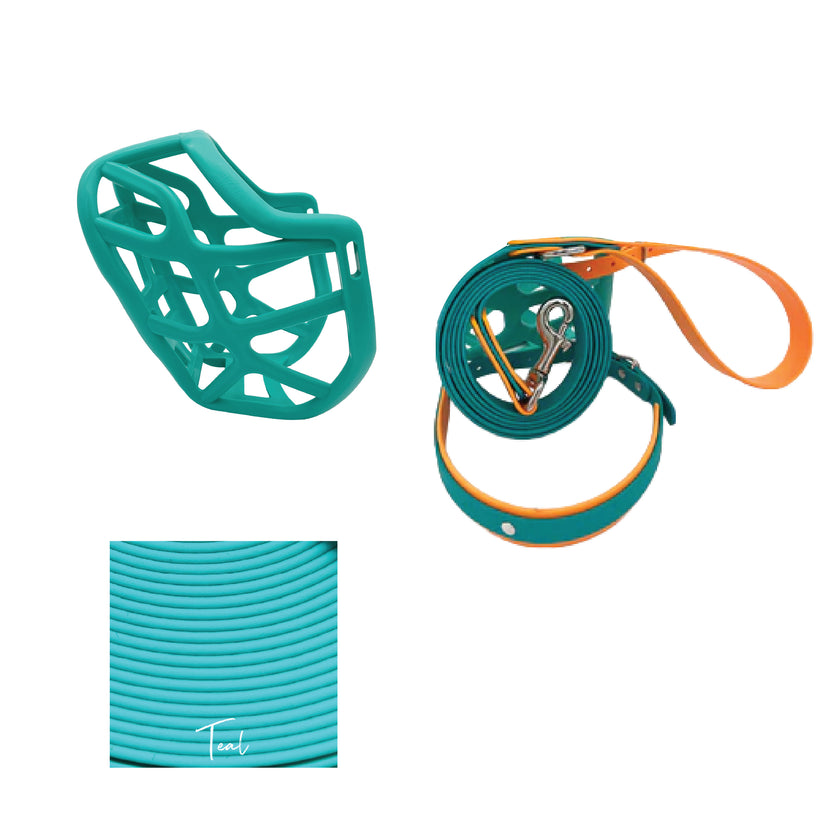 Harry 2.0 Muzzle Collar and Lead set