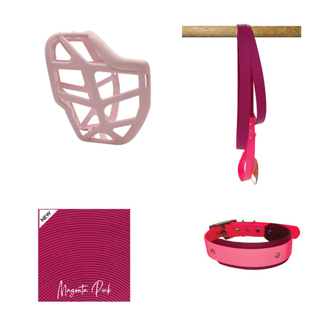 Mitzy Muzzle Collar and Lead set