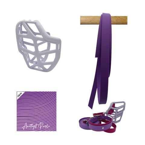 Mitzy Muzzle Collar and Lead set
