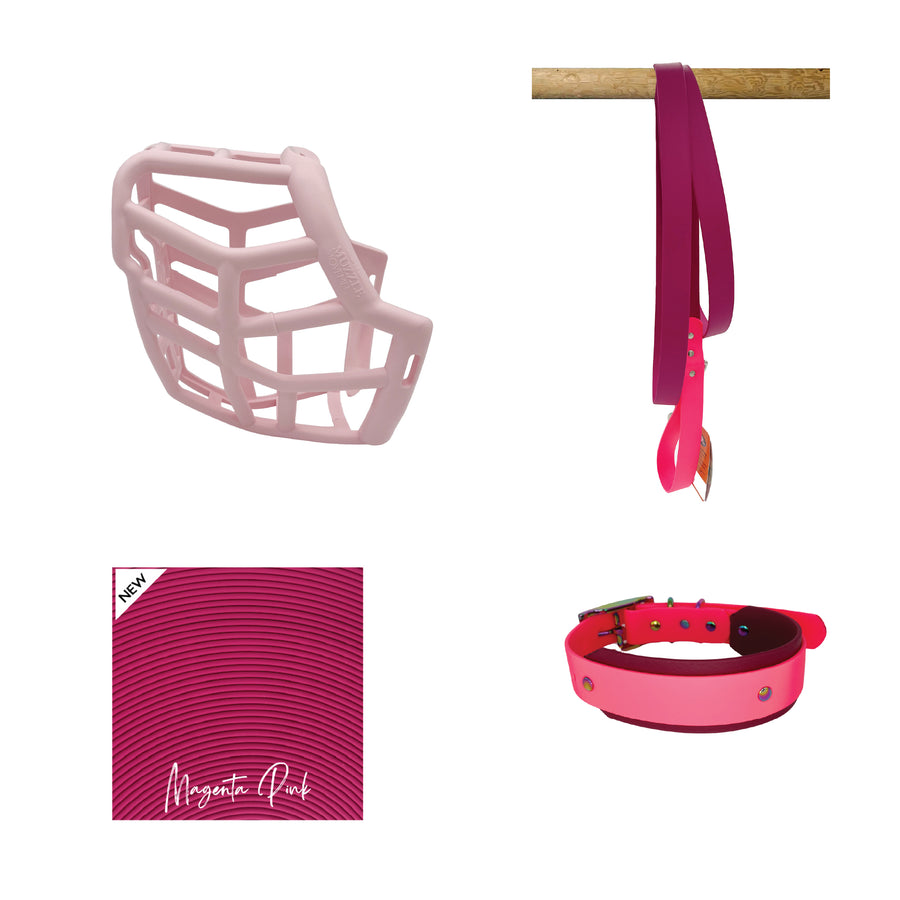 Neli Muzzle Collar and Lead set