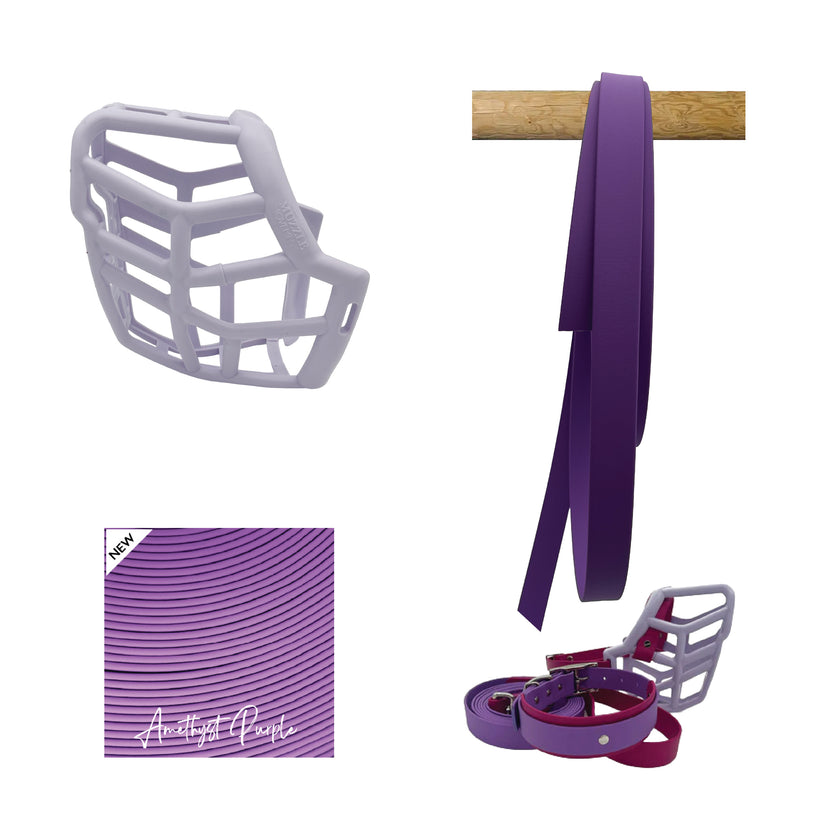 Neli Muzzle Collar and Lead set
