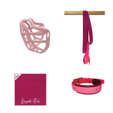 Pippa Muzzle Collar and Lead set