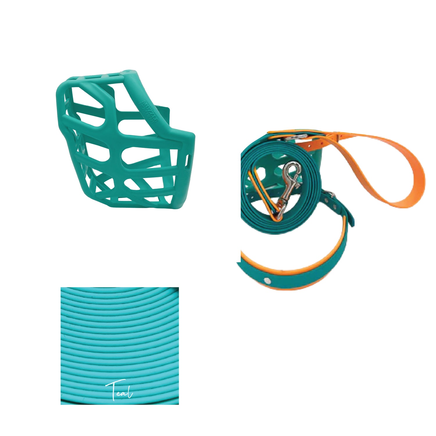 Taz* Muzzle Collar and Lead set