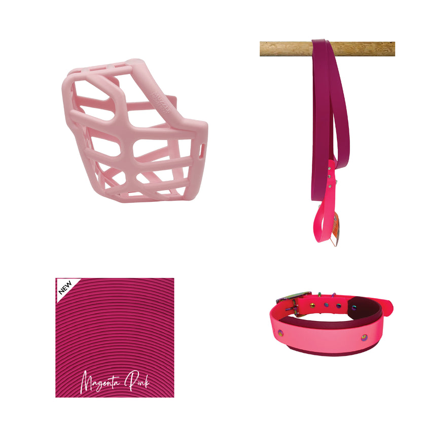 Taz* Muzzle Collar and Lead set