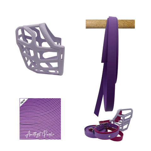 Taz Muzzle Collar and Lead set