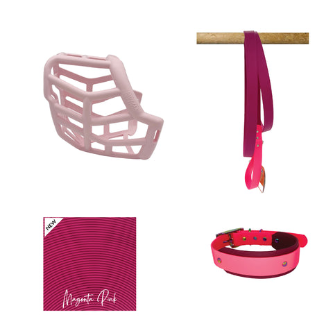 Tolly Muzzle Collar and Lead set