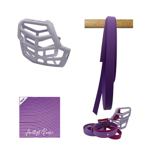 Tolly Muzzle Collar and Lead set
