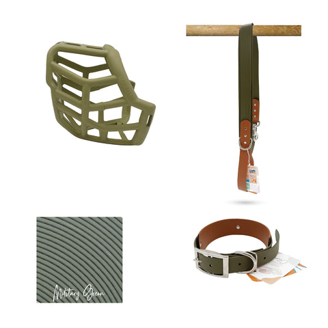 Tolly Muzzle Collar and Lead set