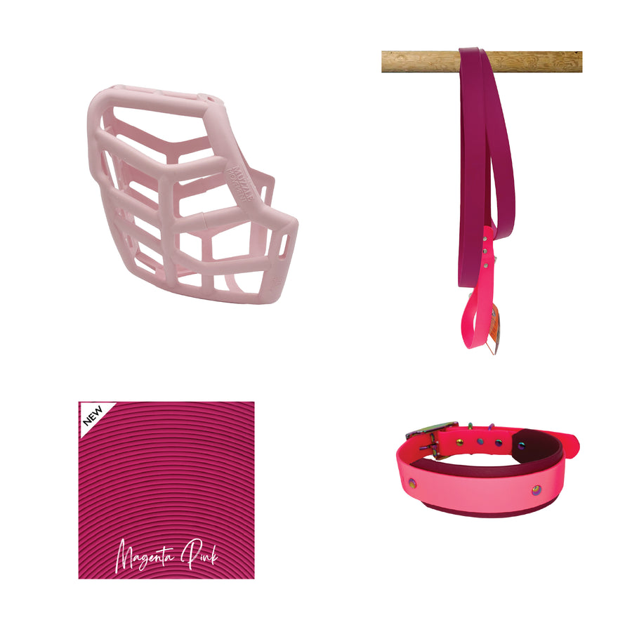 Rex Muzzle Collar and Lead set