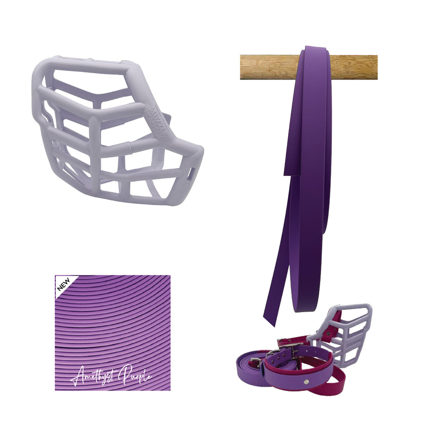 Sunny* Muzzle Collar and Lead set
