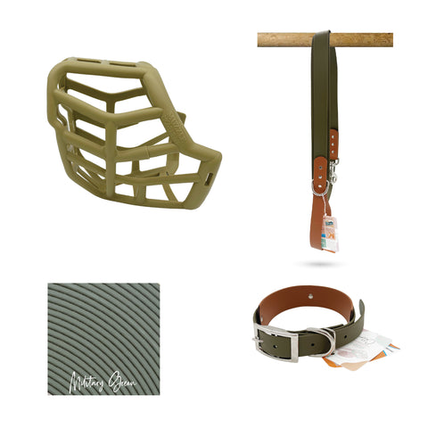 Sunny Muzzle Collar and Lead set