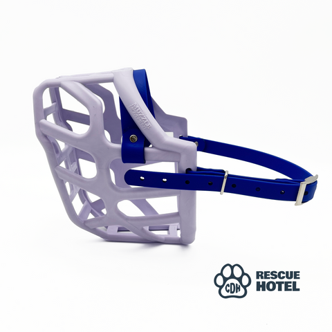 Charity Colour Muzzle – The Rescue Hotel - Ready to Ship