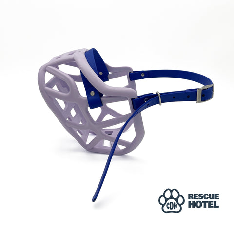Charity Colour Muzzle – The Rescue Hotel - Ready to Ship