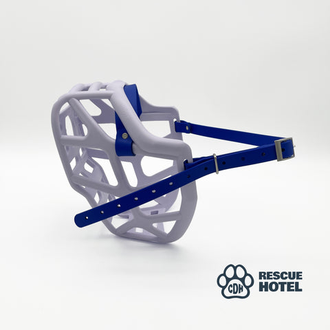 Charity Colour Muzzle – The Rescue Hotel - Ready to Ship