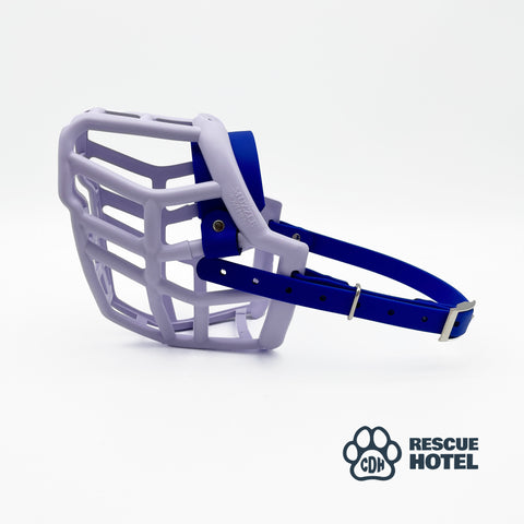 Charity Colour Muzzle – The Rescue Hotel - Ready to Ship