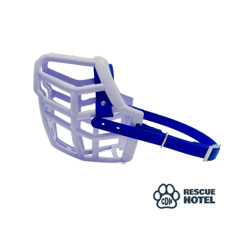 Charity Colour Muzzle – The Rescue Hotel - Ready to Ship