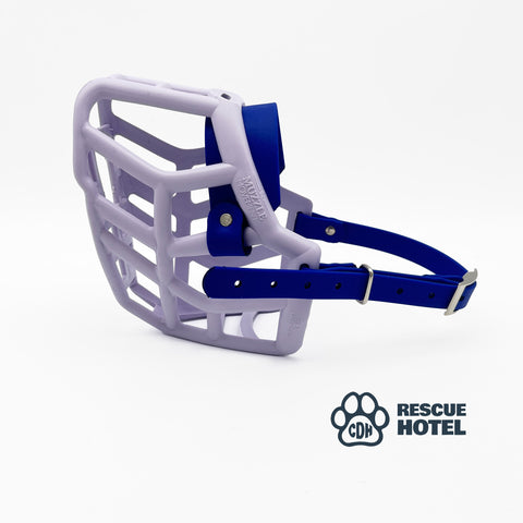 Charity Colour Muzzle – The Rescue Hotel - Ready to Ship