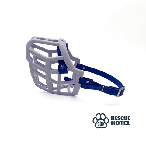 Charity Colour Muzzle – The Rescue Hotel - Ready to Ship