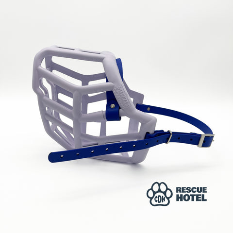 Charity Colour Muzzle – The Rescue Hotel - Ready to Ship